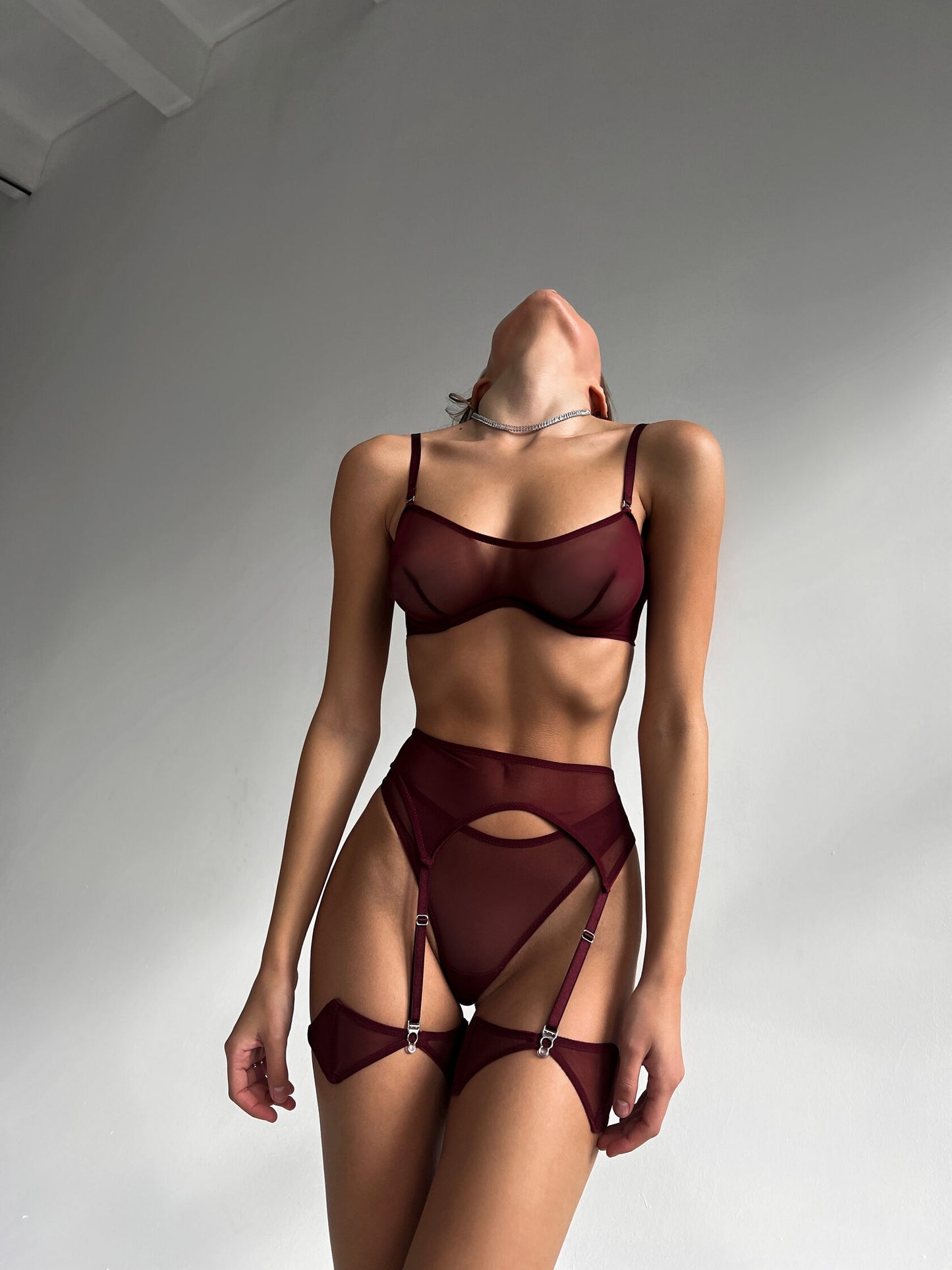 Sensual See Through Lingerie Set - Wine Red & Hot Pink