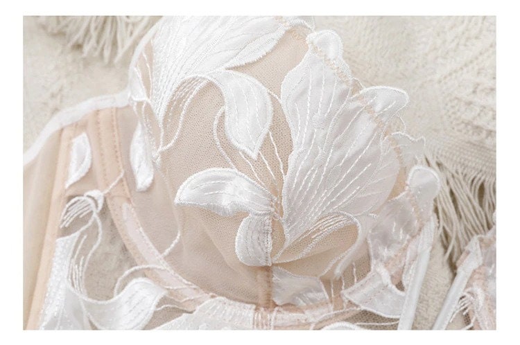 Sexy White French Lace Embroidered Brassier Set