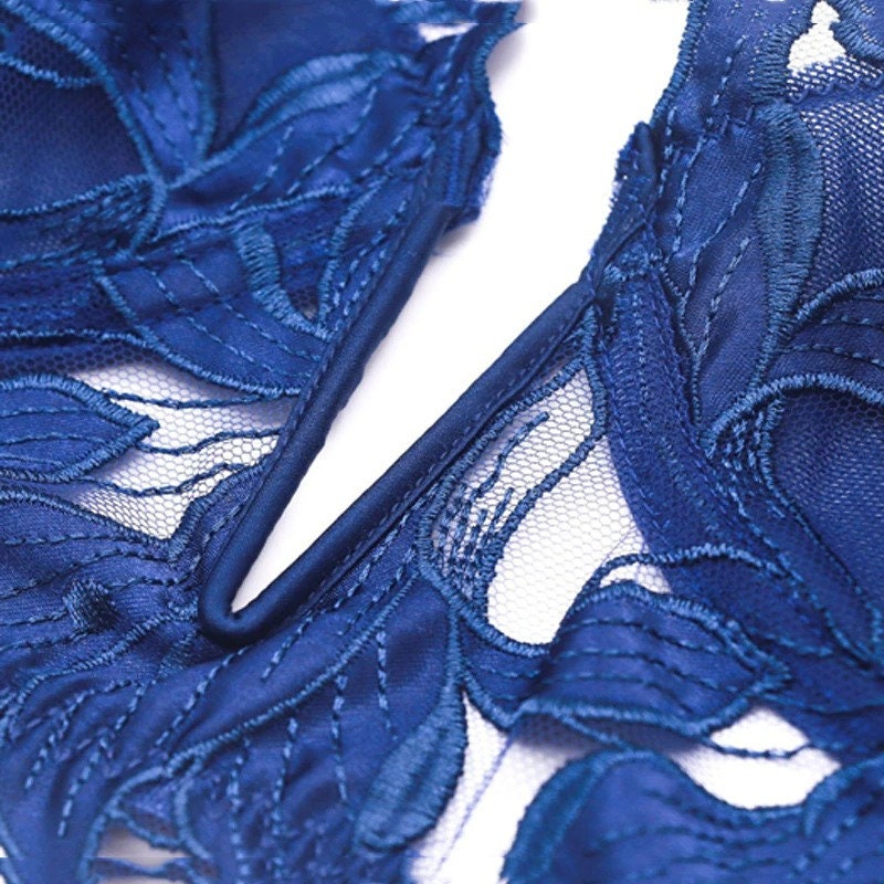 Sexy Blue French Lace Embroidered Brassier Set