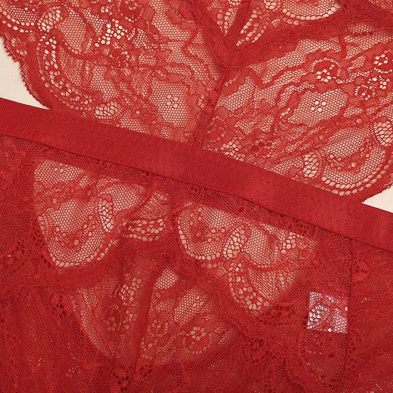 Valentine's Day Lace Bodysuit – Lovegood Lingerie